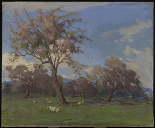 Springtime