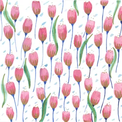 Pink Tulips, 2017