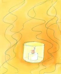 Because of their Baptism, souls have been changed; and those who enter Heaven are 