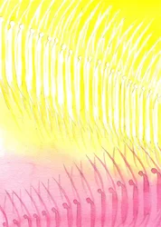 The heavenly host