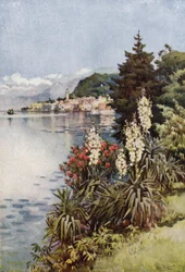 A Group of Yuccas, Villa Melzi, Lago di Como