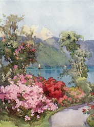Azaleas, Lake Como