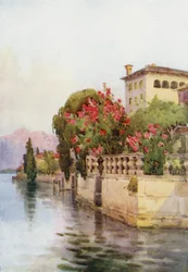 Oleanders, Lake Orta