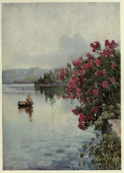 Oleanders, Lago di Como, Illustration from 
