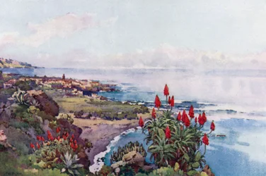 Puerto Orotava