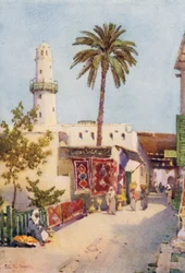 The Bazaar, Aswan