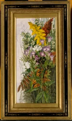 Wildflowers