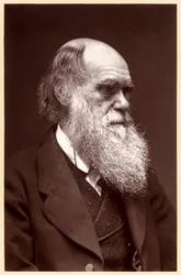 Charles Darwin: English Naturalist
