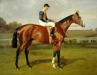 Spearmint, Winner of the 1906 Derby, 1906