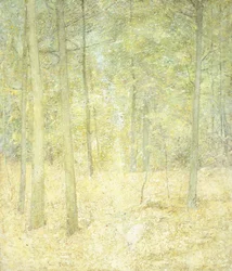 A Woodland Scene