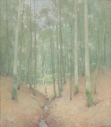 Wood Interior