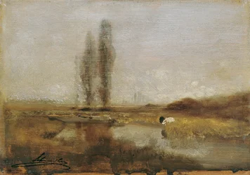 Moorland landscape near Lundenburg
