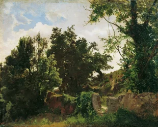 Castle Wall in Plankenberg