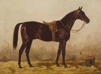 E. Volkers, Saddled Black Horse