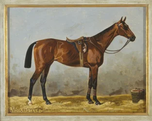 Saddled Brown Horse