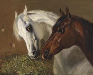 Two Horse Heads