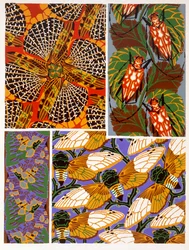 Design with Insect Motif