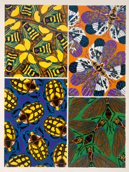 Design with insect motif