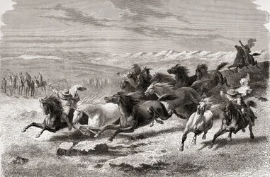 Argentinian gauchos rounding up wild horses, illustration from 