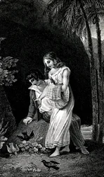Engraving illustrating a late 19th century edition of the novel by Jacques-Henri Bernardin de Saint Pierre: Paul and Virginie. Birds come to land without fear near the young couple of lovers in the forest