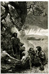 Group of harvesters struck by lightning while sheltering under a tree during a storm