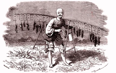 Rat Killer in China