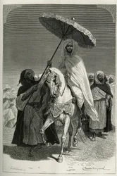 Sultan Hassan I of Morocco