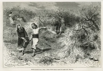 The collection of putty during the summer season (Drawing by Emile Bayard)