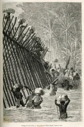 The passage of the river Lovoi by the expedition (Drawing by Emile Bayard)