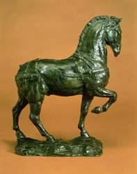 Horse without Saddle