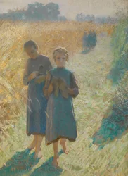Girls in the Field