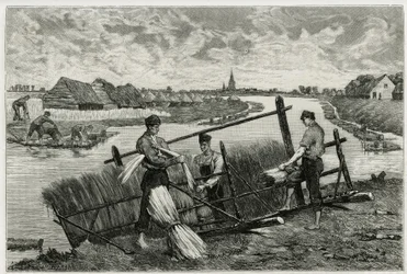 The rust of flax (engraving by Emile Claus, to illustrate the story La Belgique, by Camille Lemonnier)