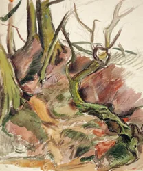 Tree Study