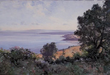 Douarnenez Wheat and Trees in View