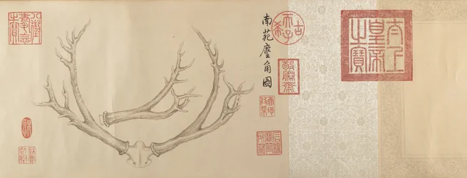 Two Paintings of Deer Antlers