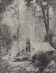 A Bush Camp, Tasmania