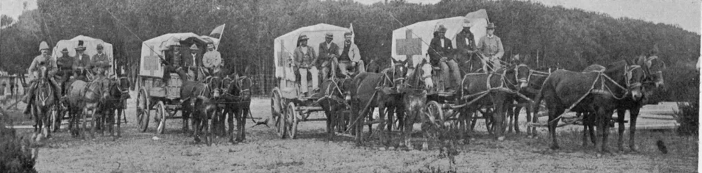 Ambulance Wagons Leaving the Plague Hospital in Cape Town