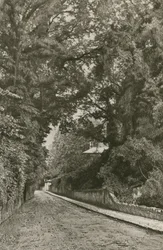 Bonchurch Road, Isle of Wight