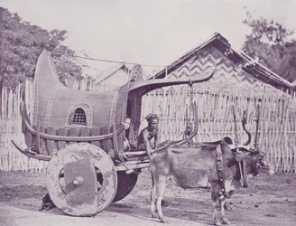 Burmese Carriage and Pair
