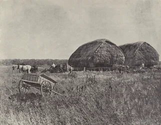 Canning Downs Station