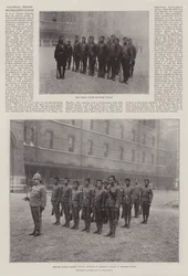 Colonial Troops for the Queen