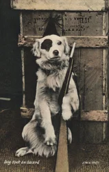 Dog holding a gun
