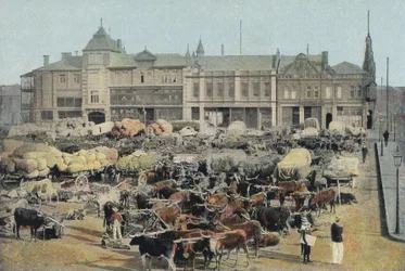 Early Morning Market, Johannesburg