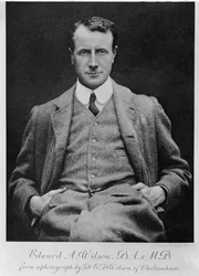 Edward A. Wilson, c.1910