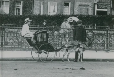 Goat-Drawn Transport