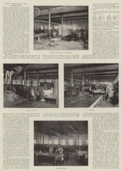 Great Pneumatic Tyre Combination