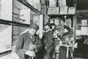 Great Portland Street pet shop