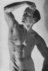 Illustration for The Male Body