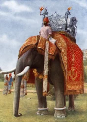 Immemorial India: Its Colour & Magic