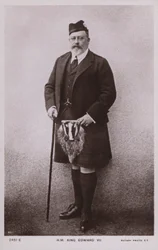 King Edward VII